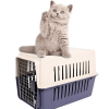 Plastic Cat & Dog Carrier Cage with Chrome Door Portable Pet Box Airline Approved, Medium, Blue/Red